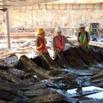 Coming up on October 24!  The Ship That Held Up Wall Street